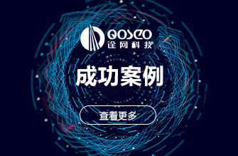 成功案例