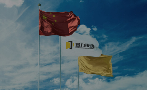 宣力投资集团