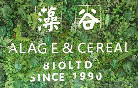 藻谷生物科技效果广告整合营销案例