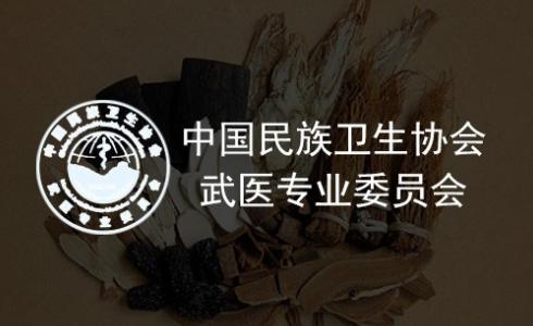 中国民族卫生协会武医专业委员会网站建设