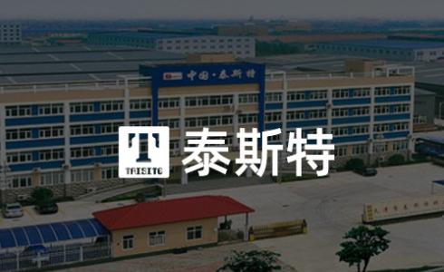 天津市泰斯特仪器有限公司网站建设