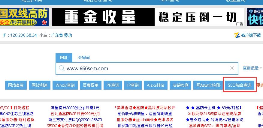 站长工具综合查询